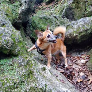 Meet your Posher, Ruby